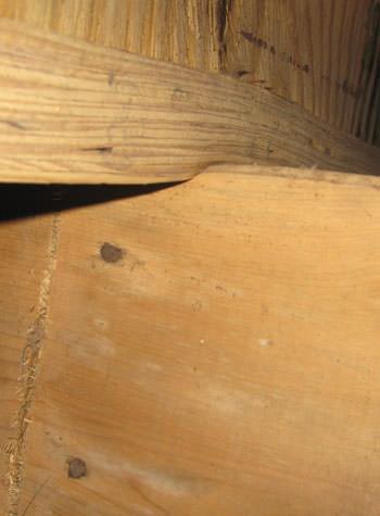 severe damage to a crawl space structure in a Stittsville home
