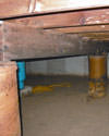 Mold and rot thriving in a dirt floor crawl space in Ottawa