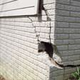 foundation walls cracked due to settlement in Ottawa