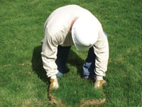 Restoring the landscaping by replacing removed lawn sections for a Kanata home.