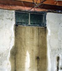 Flooding through basement windows in a Edwards home.