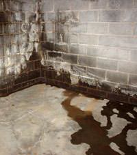Water seeping through a concrete wall in a Russell basement