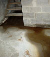 Flooding floor cracks by a hatchway door in Crysler