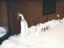 IceGuard® Installed Gloucester